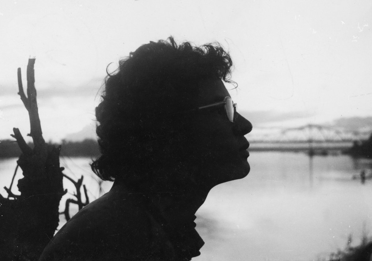 Cinelimite tweet media