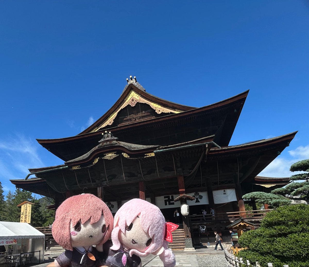 🧊冷凍えななん🦀❄️ tweet media