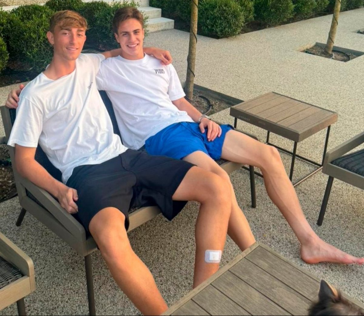 schjel_21🕊️ tweet media