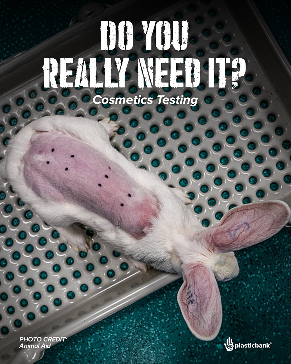 PlasticBank's tweet image. This is what overconsumption looks like when the product is gone, the trend is over, and the damage stays.

Before your next impulse buy, stop and ask:
Do I really need it?

Join #Us