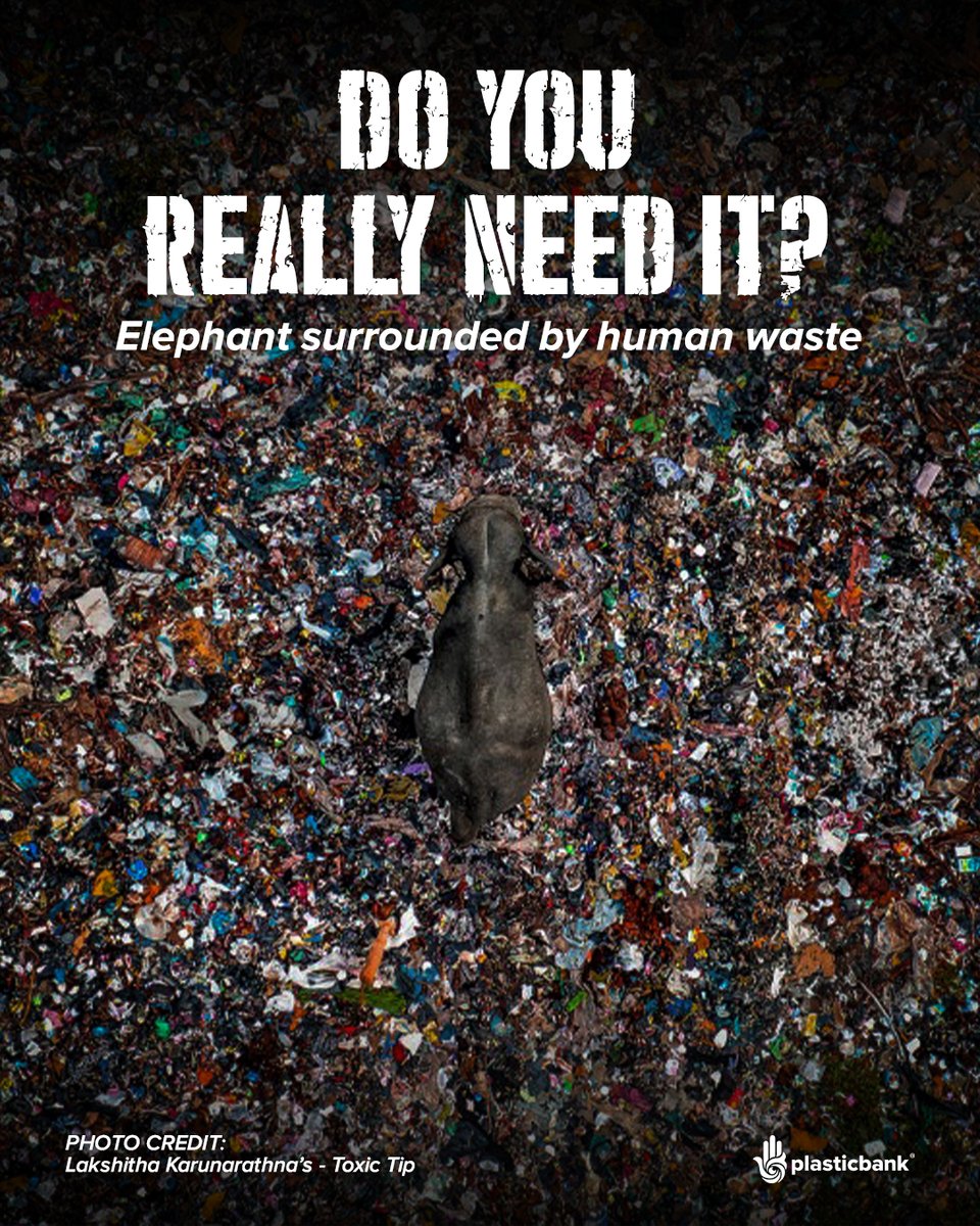 PlasticBank's tweet image. This is what overconsumption looks like when the product is gone, the trend is over, and the damage stays.

Before your next impulse buy, stop and ask:
Do I really need it?

Join #Us