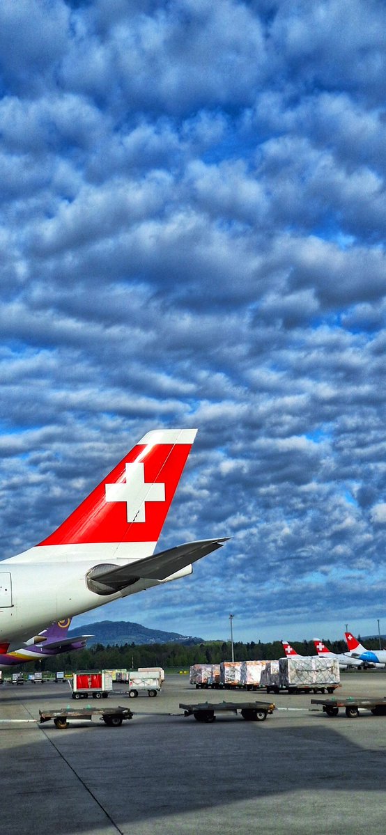 🇲🇻  Shaff  🇨🇭 tweet media