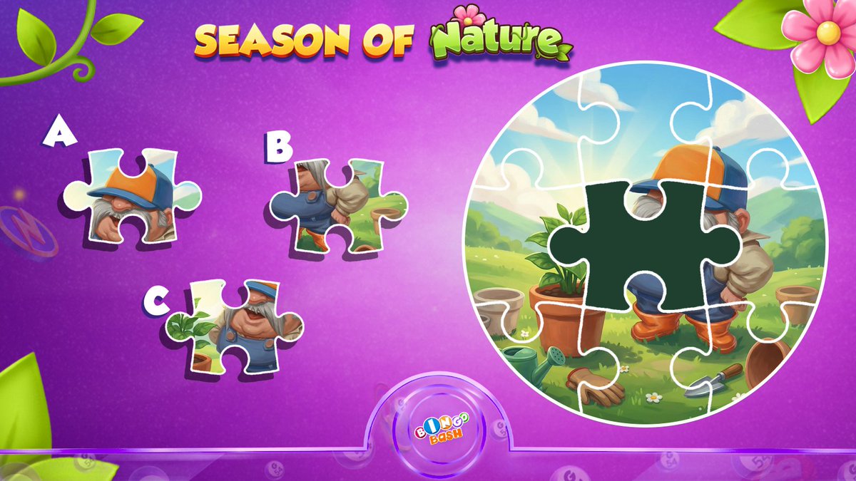 Bingo Bash tweet media