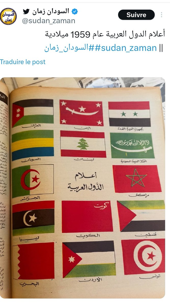 Afifa Haddad🇩🇿 tweet media