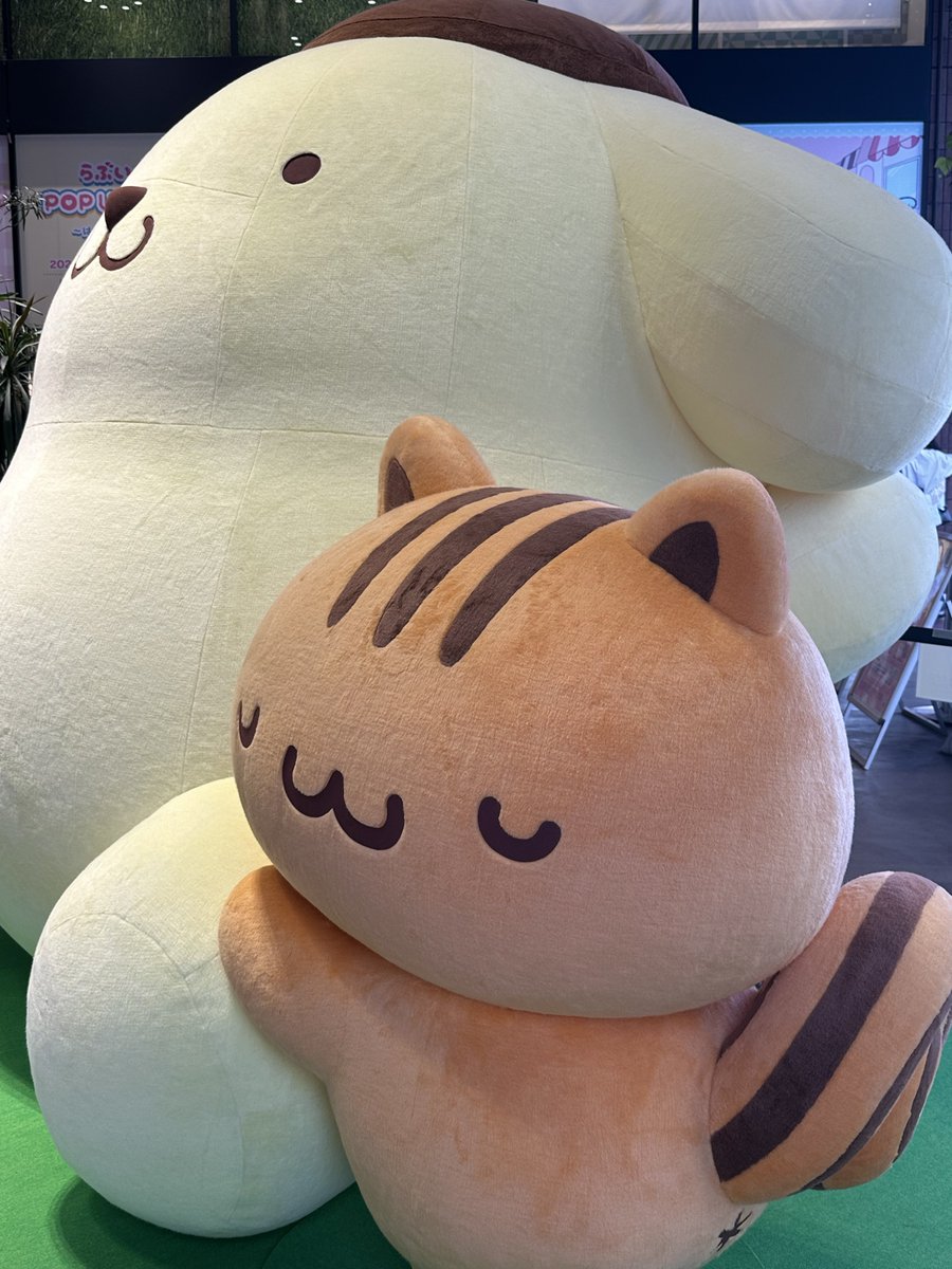 とっきー tweet media