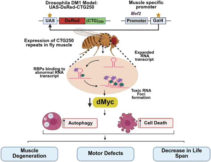 BRIC-NBRC tweet media