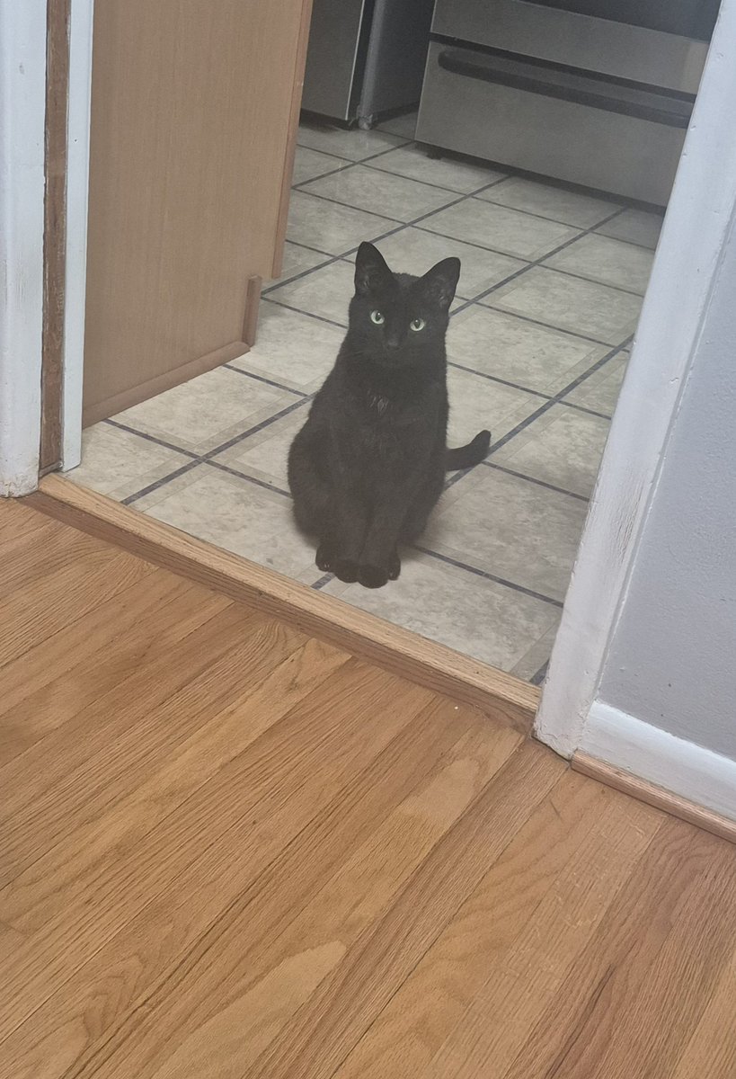 Bruce_Is_Here tweet media