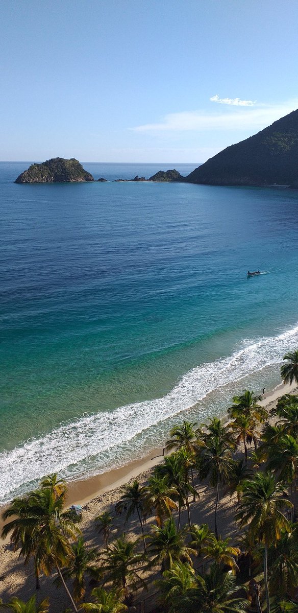 origencata's tweet photo. Buenos dias desde 🌴 Bahía de Cata, Ocumare de la Costa, Estado Aragua Venezuela 🇻🇪 https://t.co/It596HmZ6s