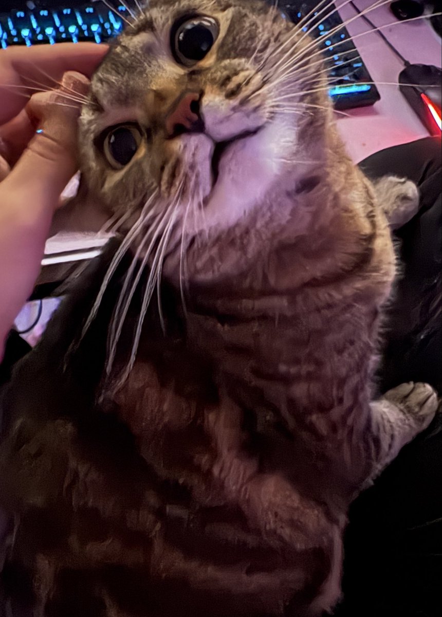 hey oomfies how are you all doing