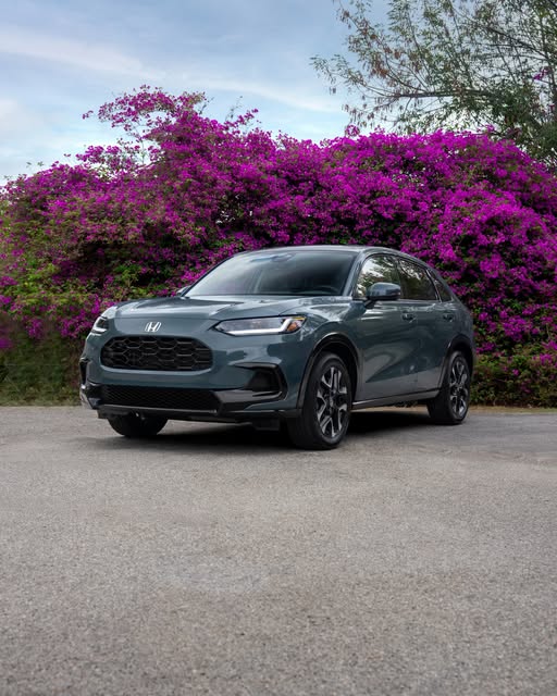 EdMartinHonda tweet media