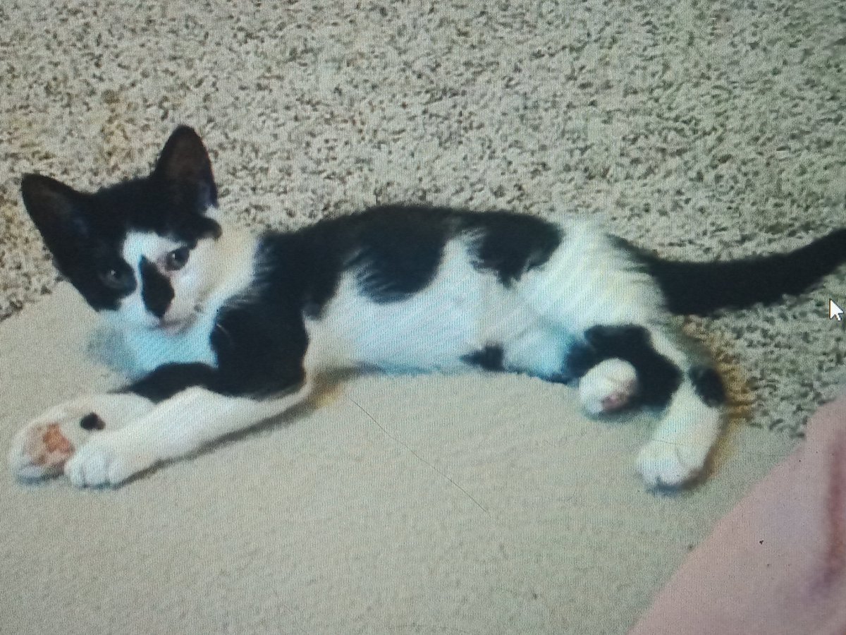 BoB Eppich tweet media