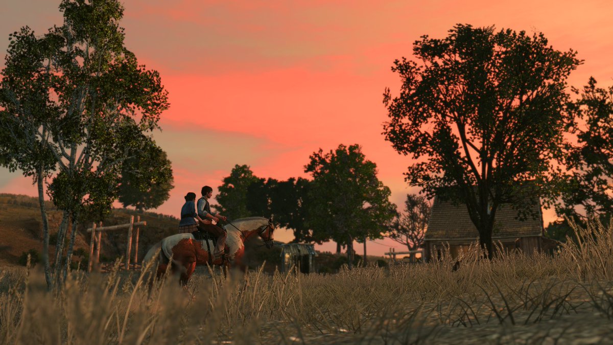 boozerman_VP's tweet image. Coming Home 

#RedDeadRedemption #VirtualPhotography
