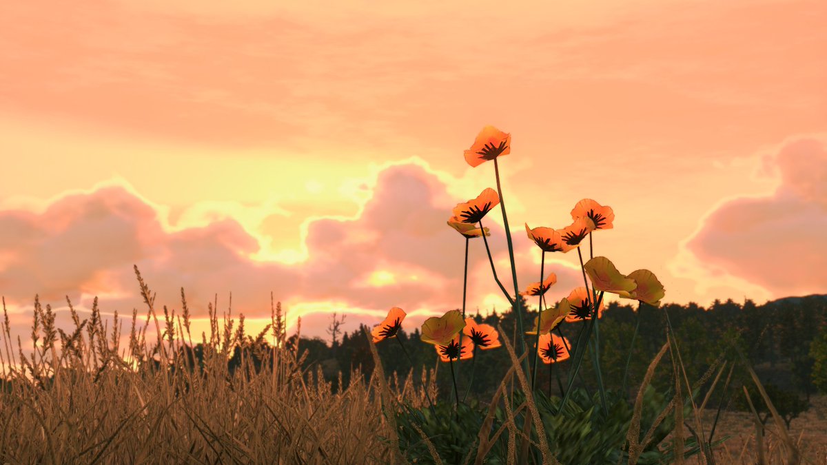 boozerman_VP's tweet image. Coming Home 

#RedDeadRedemption #VirtualPhotography
