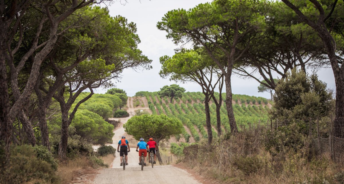 VisitTuscany's tweet image. Sail between #Napoleon’s exile and Roman ruins on a three-day island-hopping #adventure through the Tuscan #Archipelago. bit.ly/tuscan_archipe…

📸 Toscana Promozione Turistica | Alice Russolo and Nicola Santini