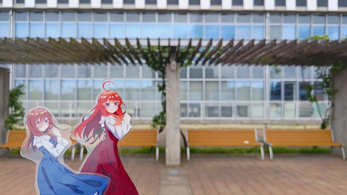 ゆぅすけ𐂂✞✞ tweet media