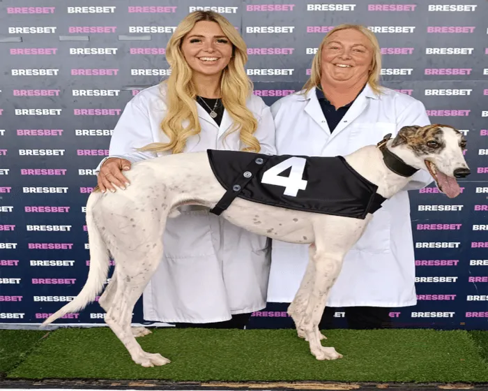 Premier Greyhound Racing tweet media