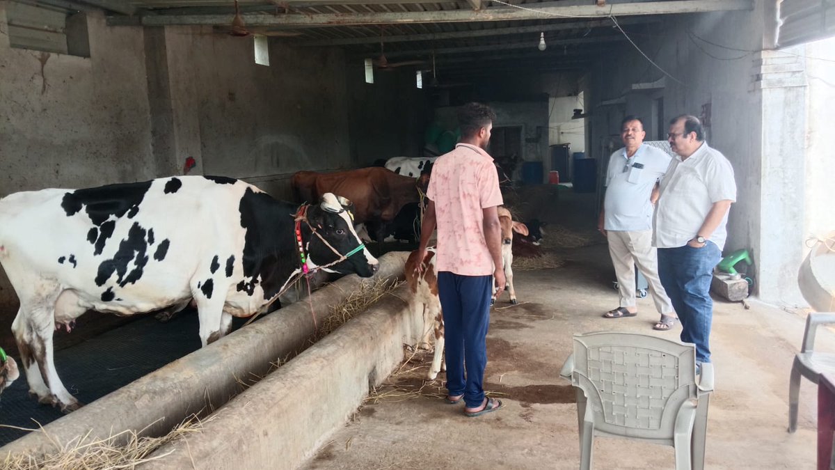 Visit of BDO,Gosani along with GPDO to a dairy form at Ghorani GP under Gosani Block
<a href="/CDO_ZP_GJP/">Zilla Parishad, Gajapati</a> 
<a href="/DM_Gajapati/">Collector Gajapati</a> 
<a href="/CMO_Odisha/">CMO Odisha</a> 
<a href="/PRDeptOdisha/">Panchayati Raj and Drinking Water Department</a>