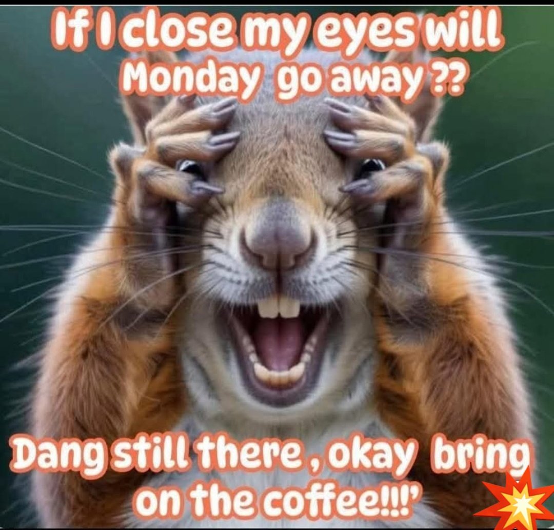 Julssszz1's tweet image. Good Morning  Friends!☕🌞😁
#MondayVibes