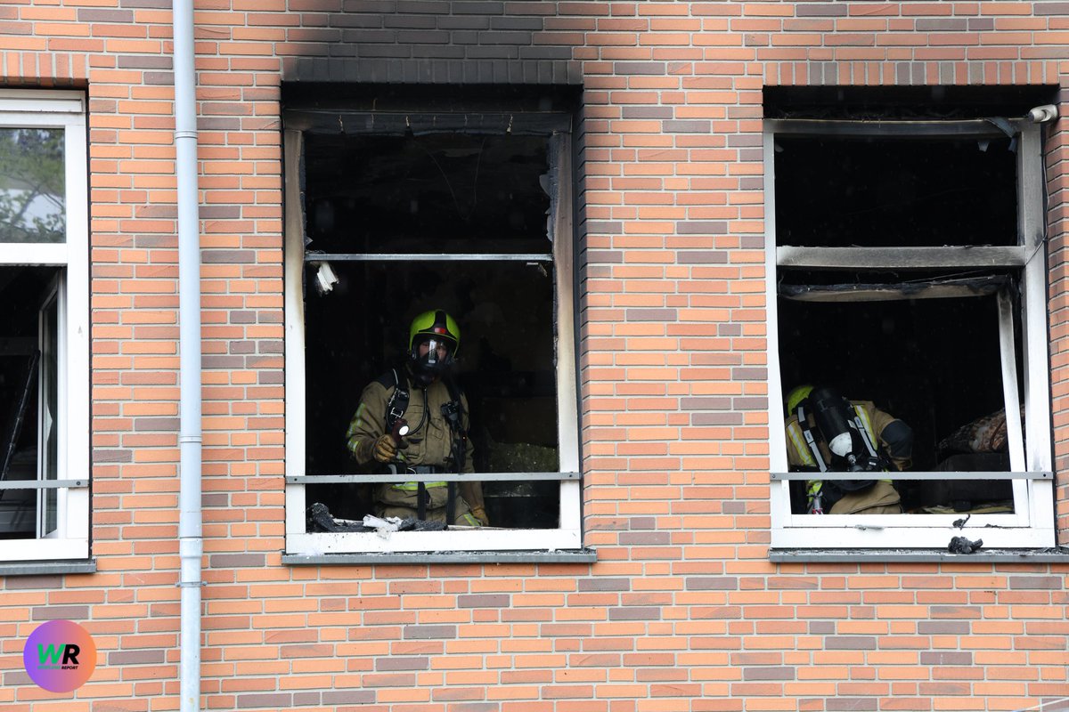 Hond gered maar kat overleeft felle brand aan de Kapelaan Meereboerweg in Loosduinen niet