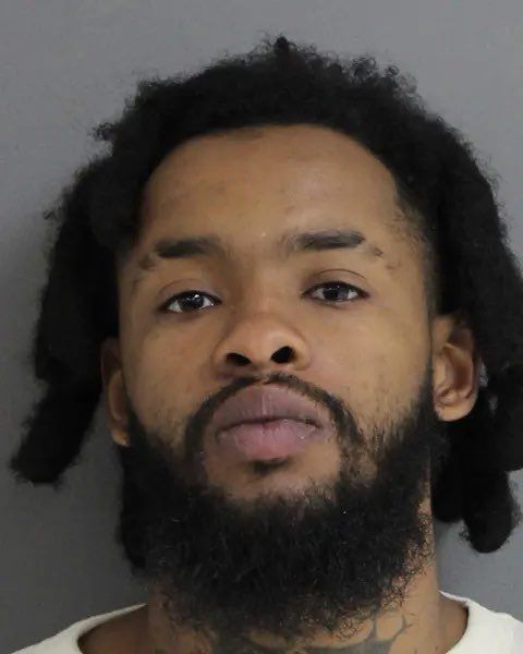 Wild Media tweet media