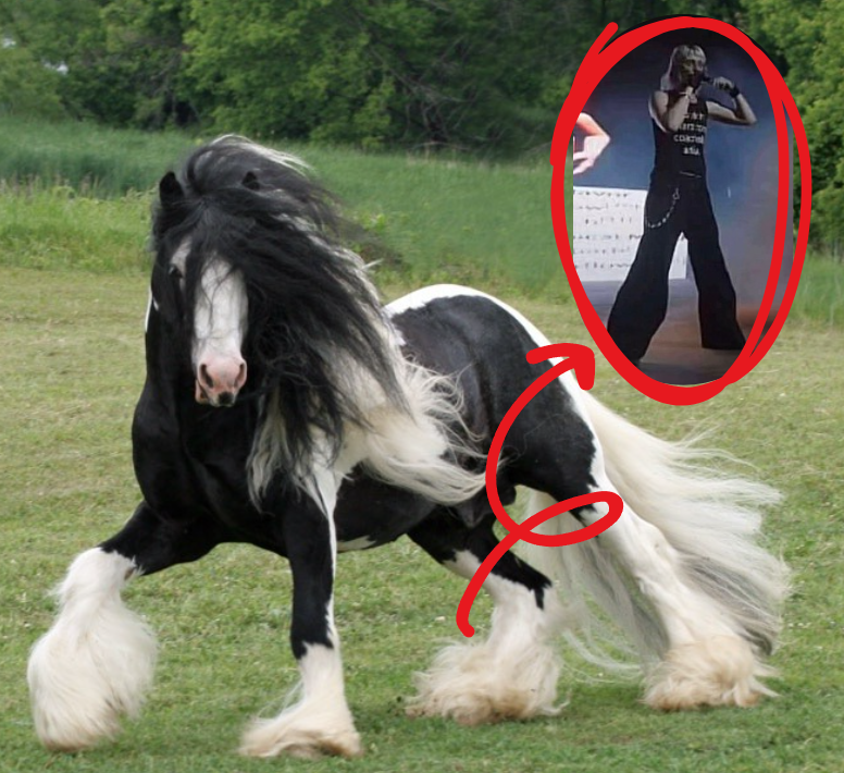 him strutting around in the flares reminds me of horses w feathering
