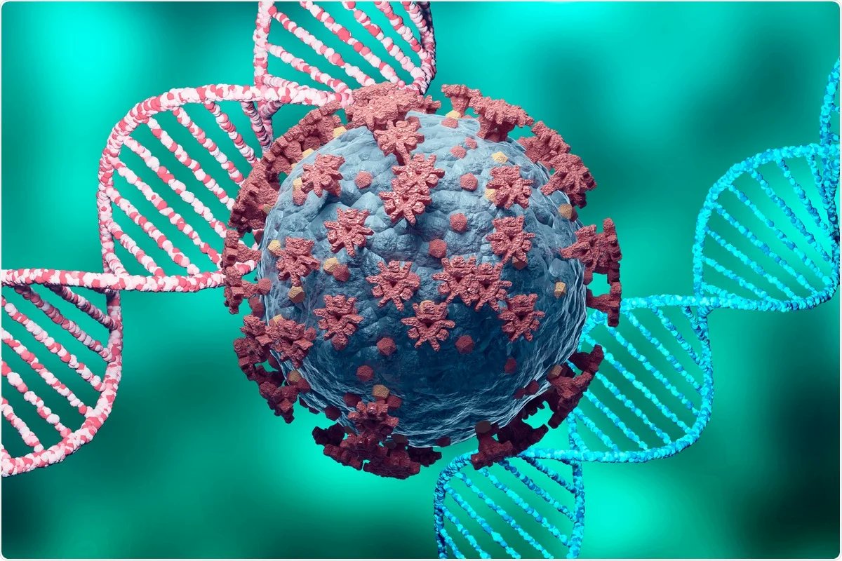 MEDICAL🚨: Scientists have achieved promising results using a combination of DNA vaccines and antibodies. 

Some patients stayed off treatment for months, and one remained virus-free for 18 months.