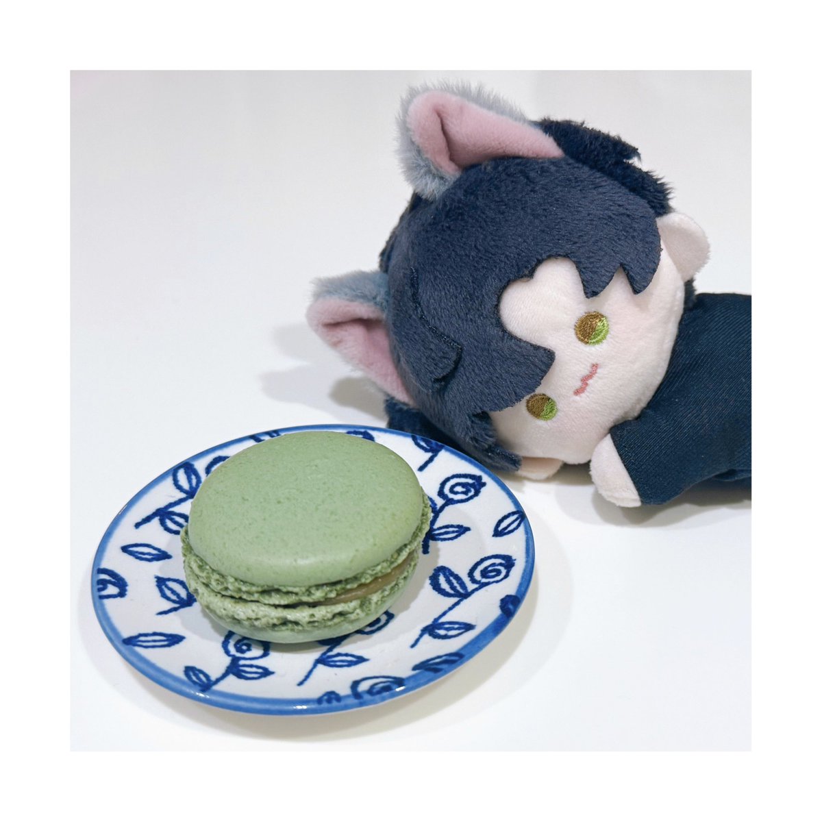 ❄️ポタピドグレル🍎 tweet media