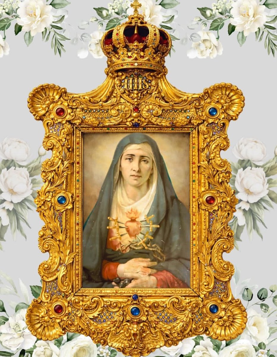 Mathias 🪙⛩️ tweet media