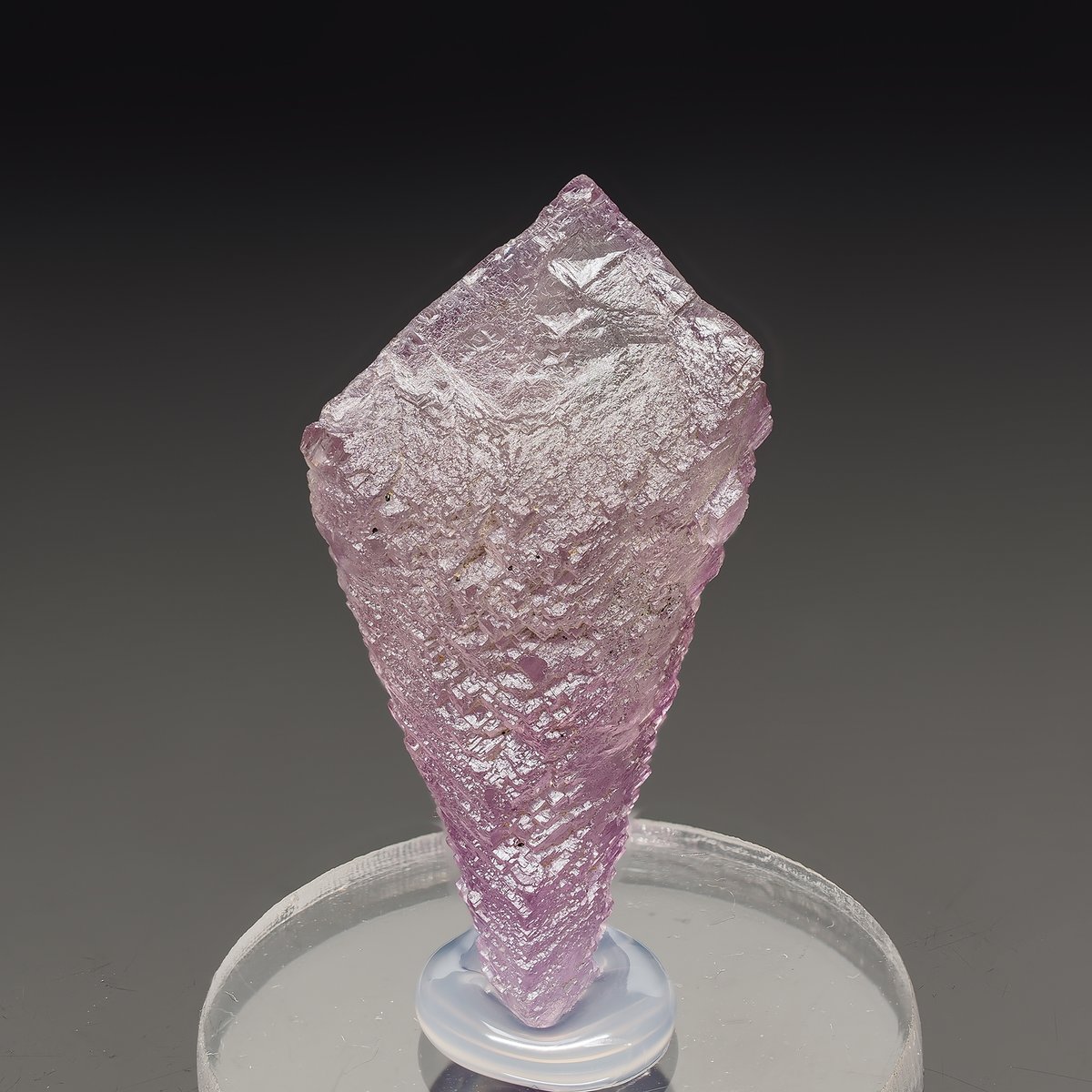 TAK（浅草石フリマ土曜 5/16 参加 6F P-11-12） tweet media