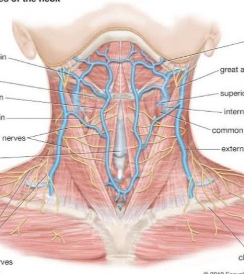 gabby 🍓 tweet media
