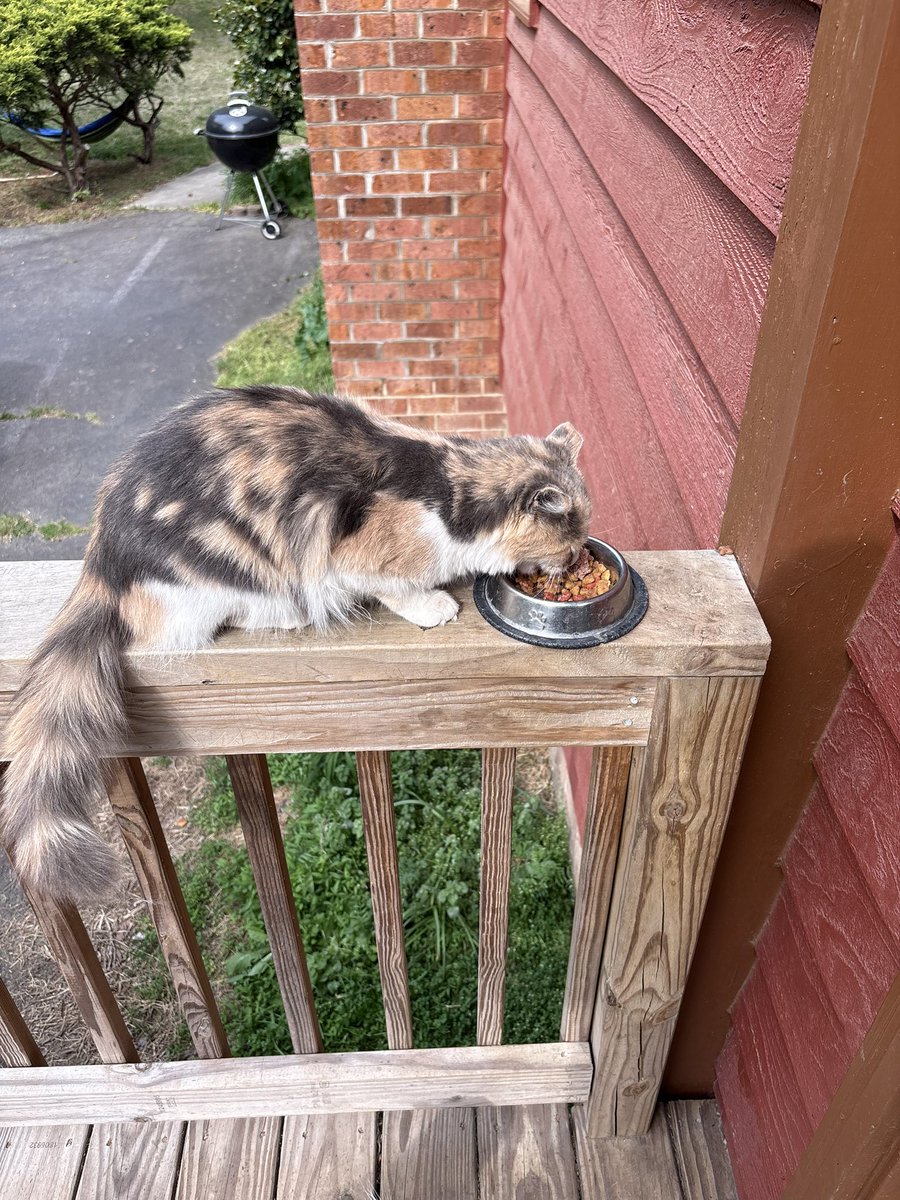 AllThingsFirearms tweet media