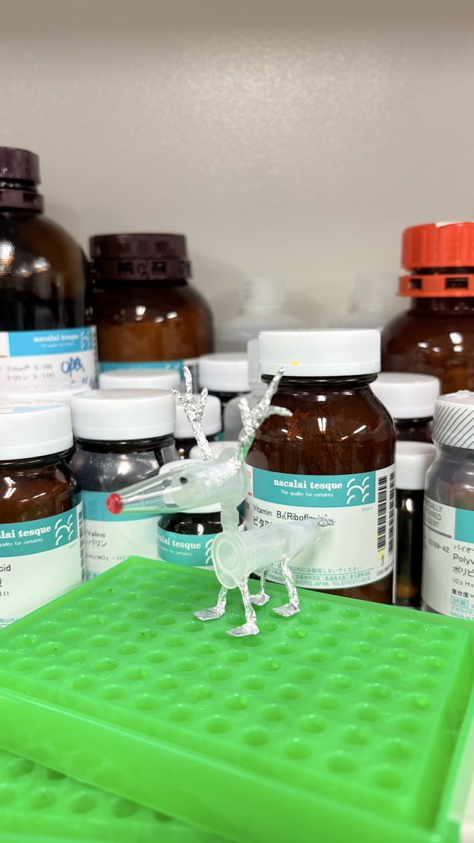 「細胞を創る」研究会若手の会 (a.k.a 合成生物学研究の若手の会) tweet media