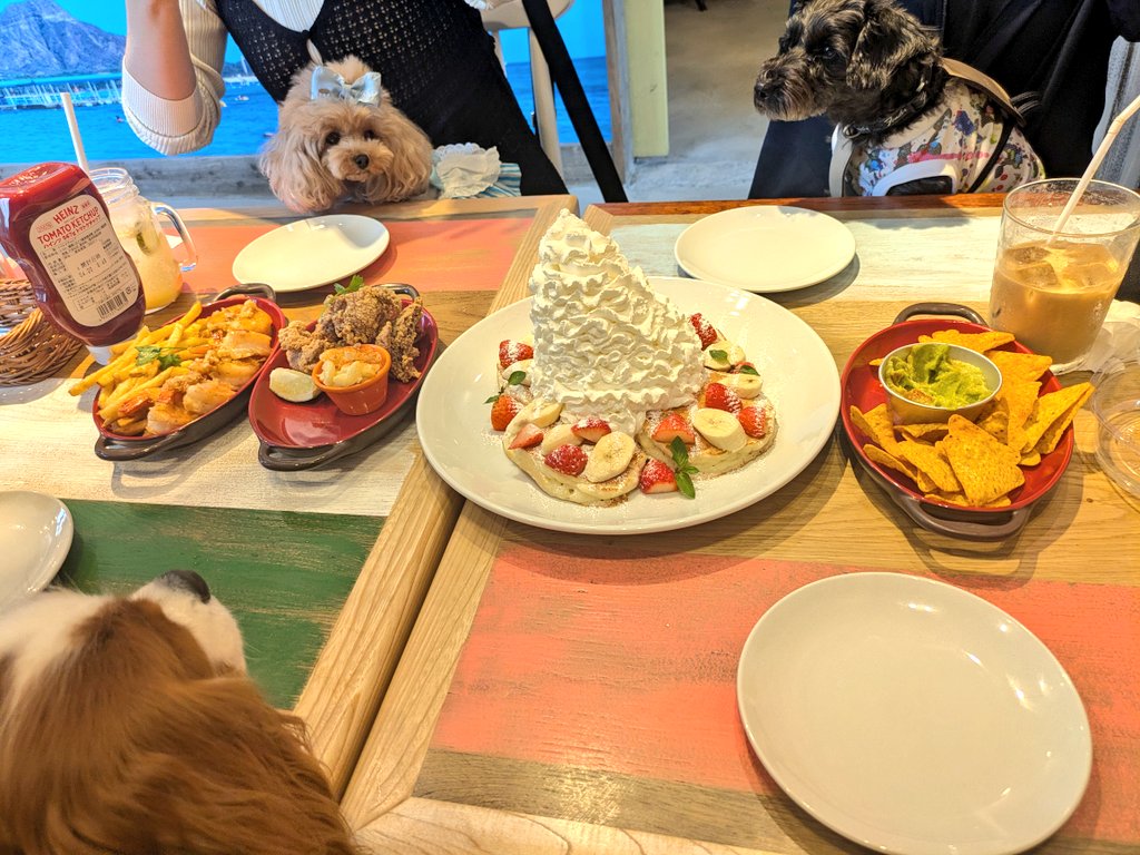 Ｋ(仮名)【ピエラー】 tweet media