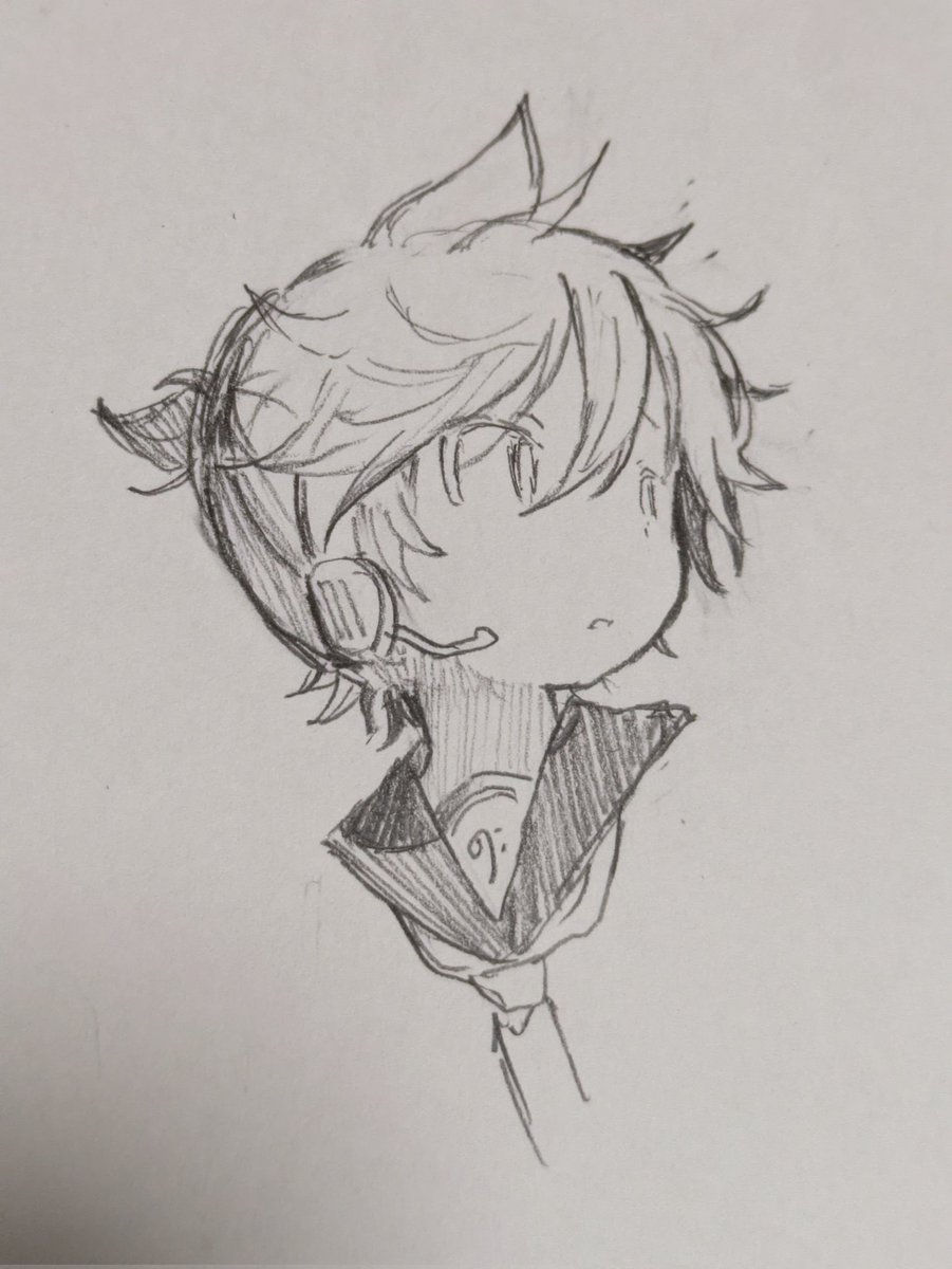 雨林🥥 tweet media