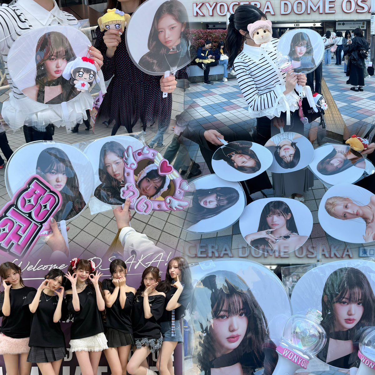 ほちゃん🐰 tweet media