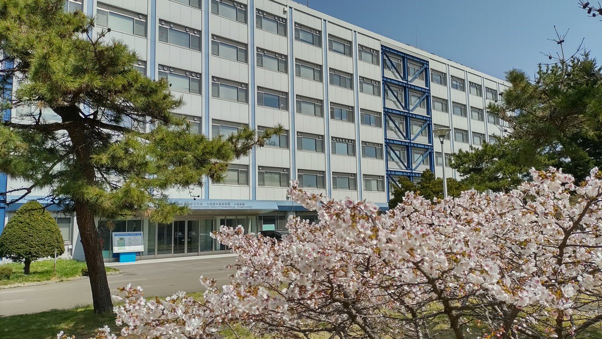 HokusuiD's tweet photo. 26/04/20月 #北大 #函館 キャンパスでは「事故防止講習会」を昼休みに開催。函館西警察署の警部補の方による、4月開始の自転車の青キップ対応について詳しい解説を賜りました。

函館キャンパスは桜が見頃。この後は桜の品種を変えて見頃はGW明けまで続きます。皆様も是非お越しください。 https://t.co/KD0IUWfCDb