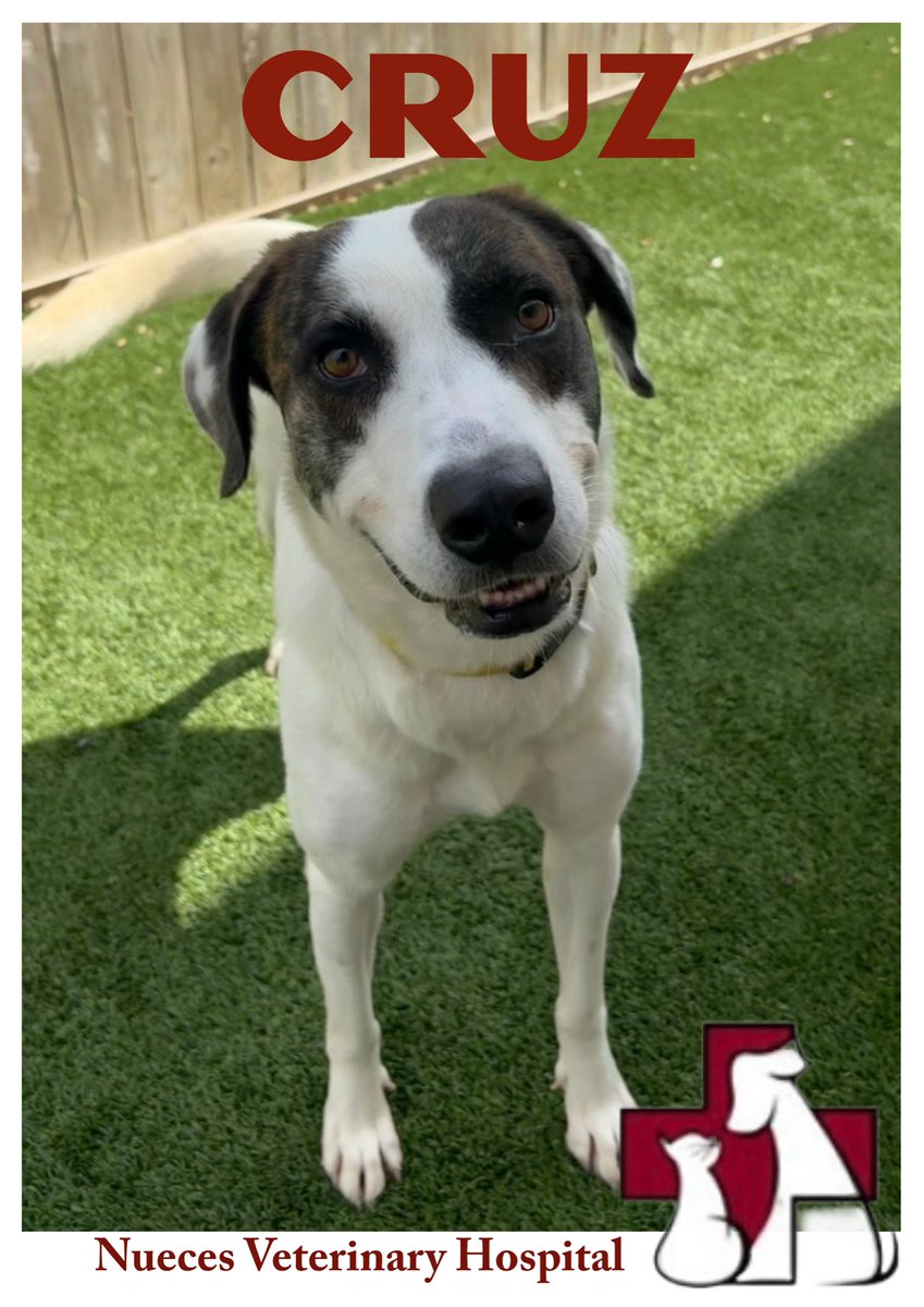 RoCo🇬🇧God Save The King🇬🇧 tweet media