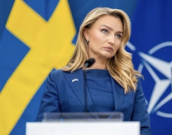 Wolf 🐺 tweet media