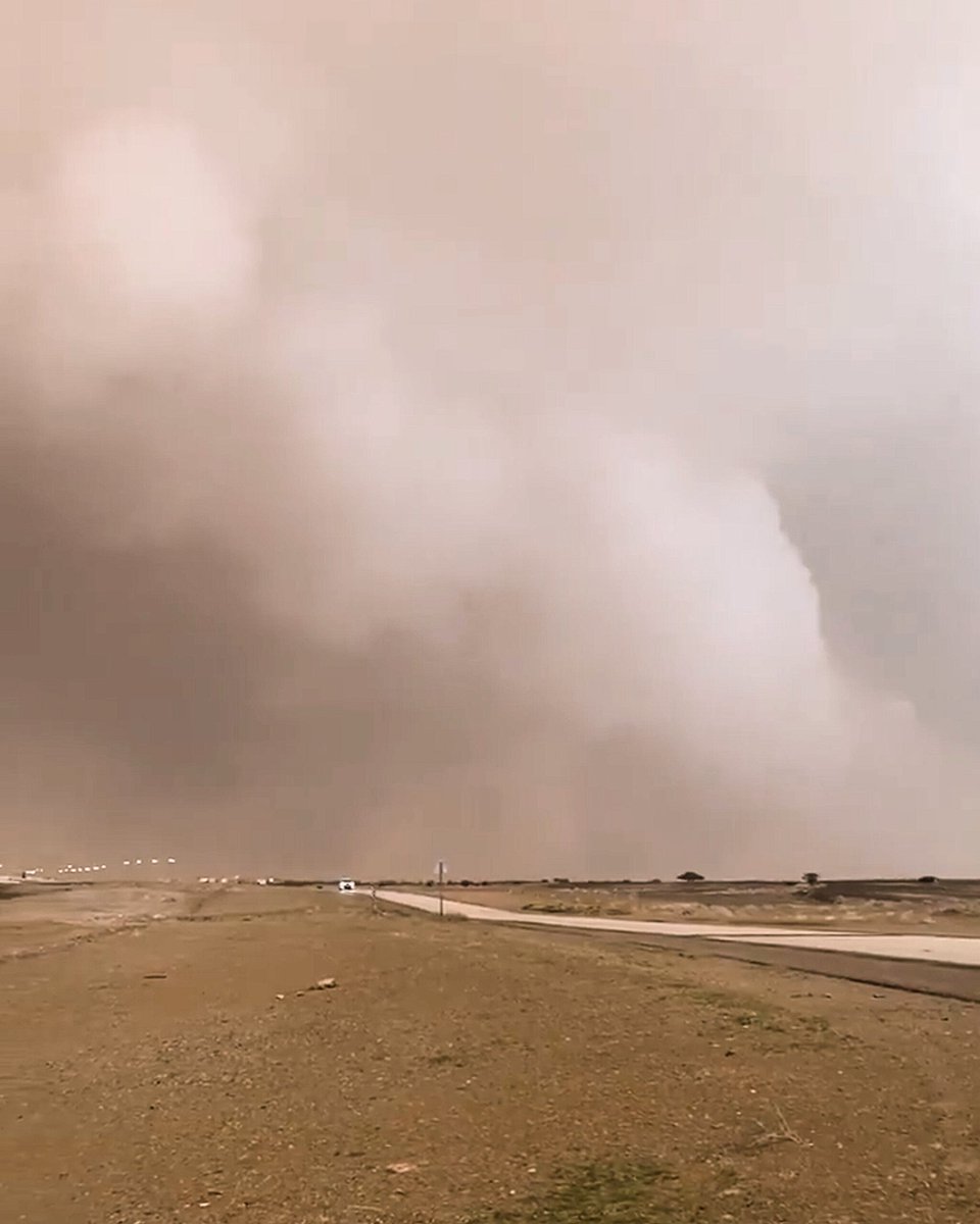 البرق⚡️ tweet media