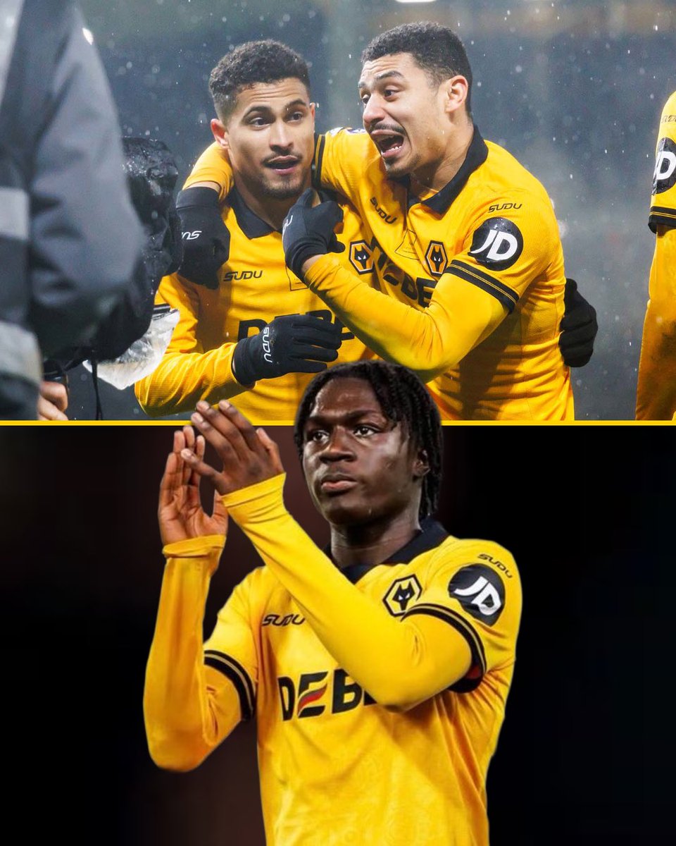 Talking Wolves tweet media