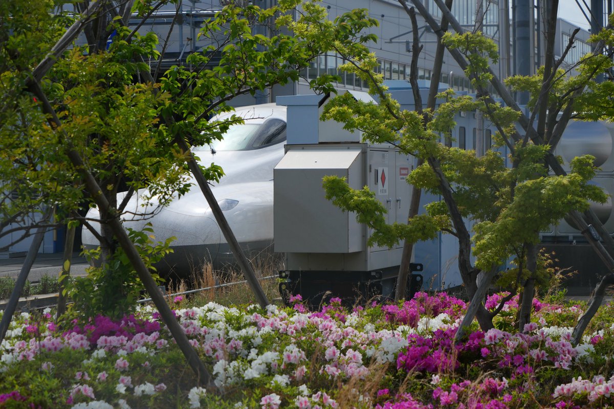 ichiya11＠NMLV+台北②谢谢 tweet media