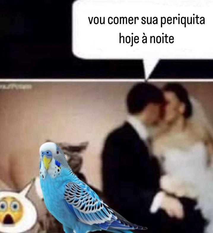 Van Grog tweet media