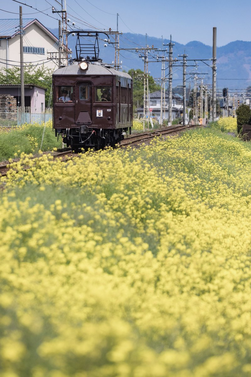 はつかり・がっかり tweet media