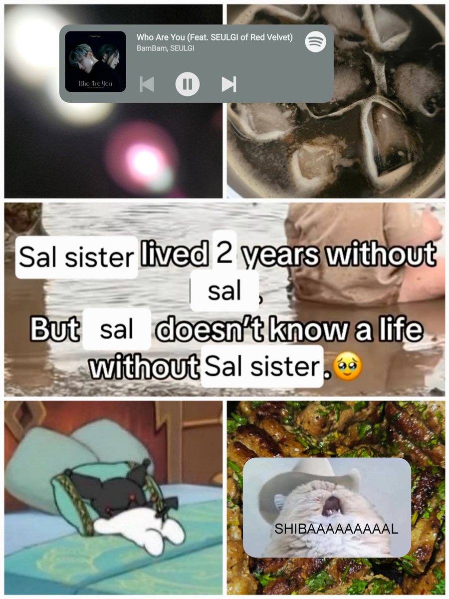 sal 𖹭 (@soulriceestelle) / Posts / X