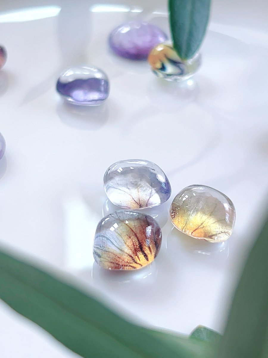 OHANA.ya.sun（ｵﾊﾅﾔｻﾝ） tweet media