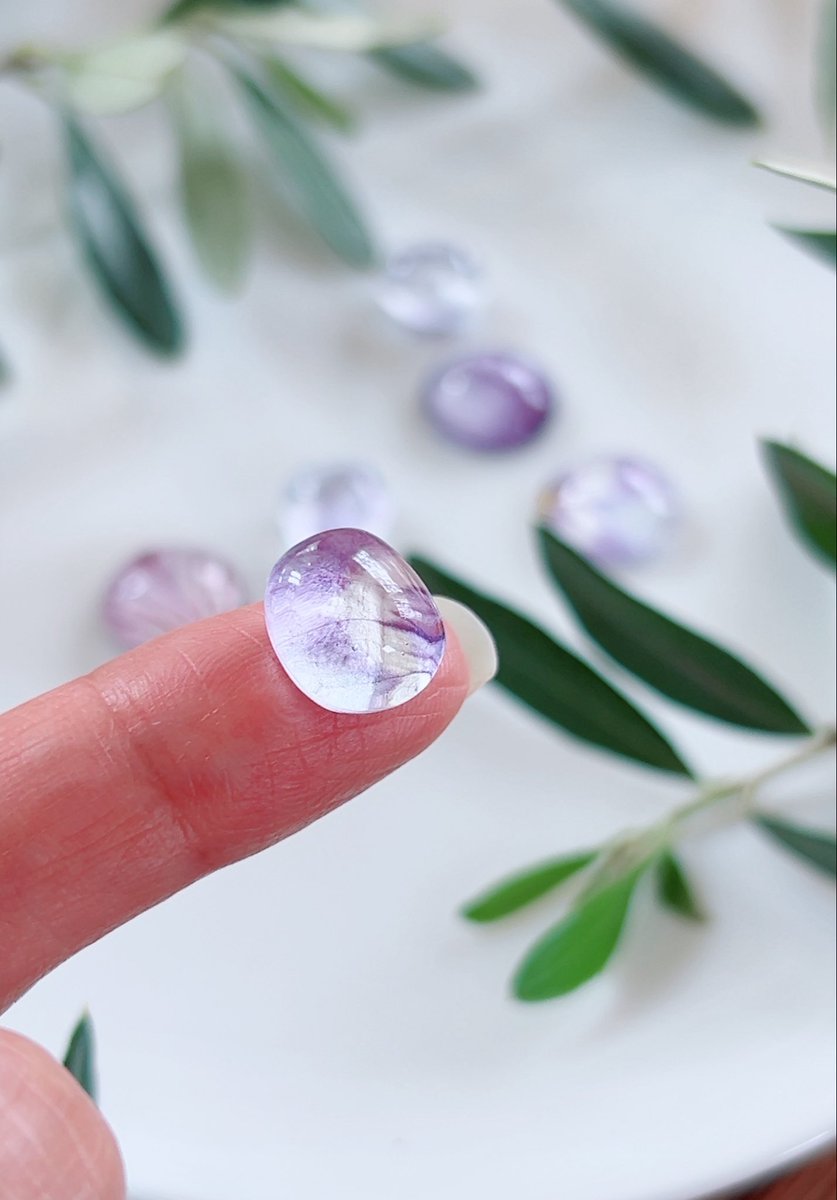 OHANA.ya.sun（ｵﾊﾅﾔｻﾝ） tweet media