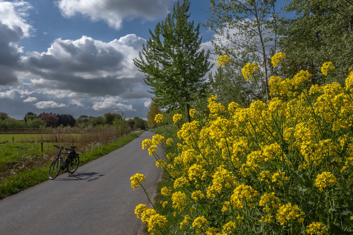 MarcWezema75157's tweet photo. #vrtweer #weerbeeld #wolken #zon #landbouw #lente #nikonphotography #weatherphotography #Moerzeke 10u46 https://t.co/eB8GTyhYBJ