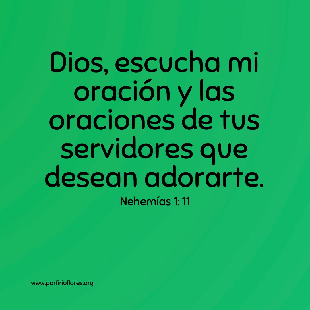 Porfirio Flores tweet media