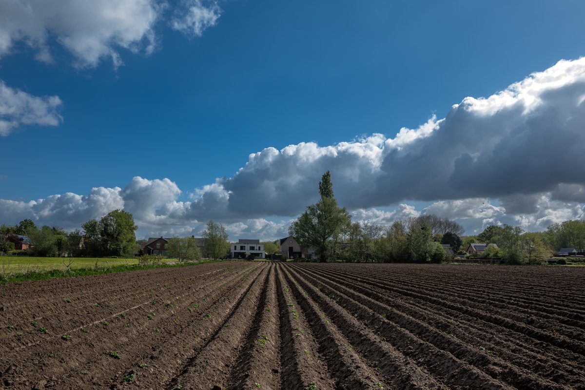 MarcWezema75157's tweet photo. #vrtweer #weerbeeld #wolken #zon #landbouw #lente #nikonphotography #weatherphotography #Hamme 11u06 https://t.co/iR9sTkKwPc