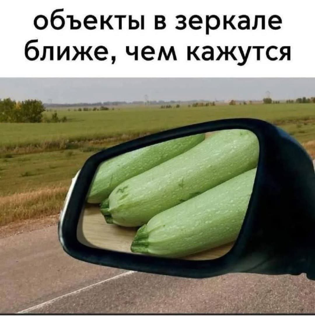 Ленинградец™🇷🇺 tweet media